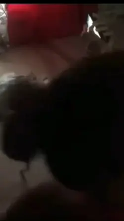 BOA NOITE BRUNO