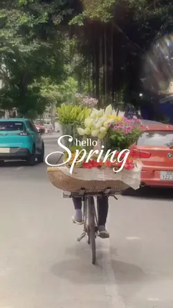 hello spring