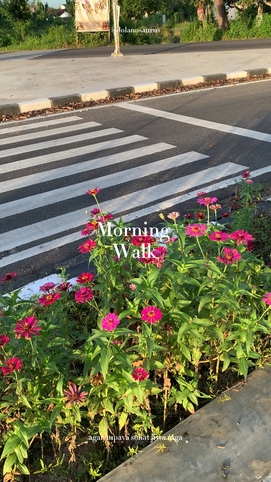 jogging pagi 8 video