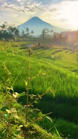 indahnya alam ini