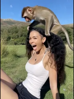 what happens next