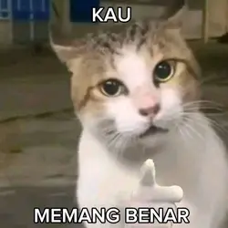 meme foto aib