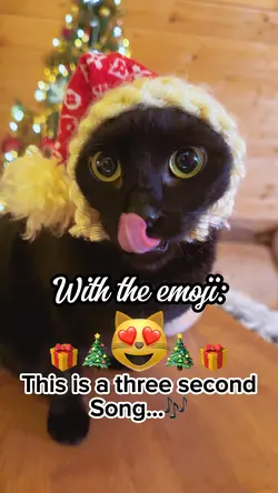 This is a 3 sec song