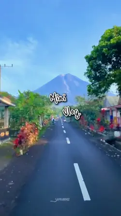 Mini Vlog