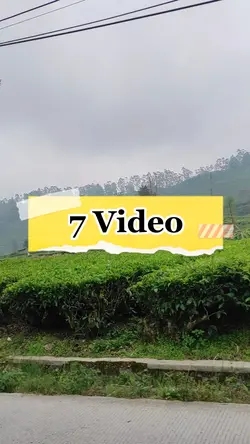 7 Video