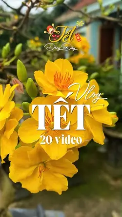 20video Vlog Tết 🧧 