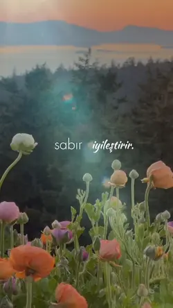 İyileşmek ❤️‍🩹 HD