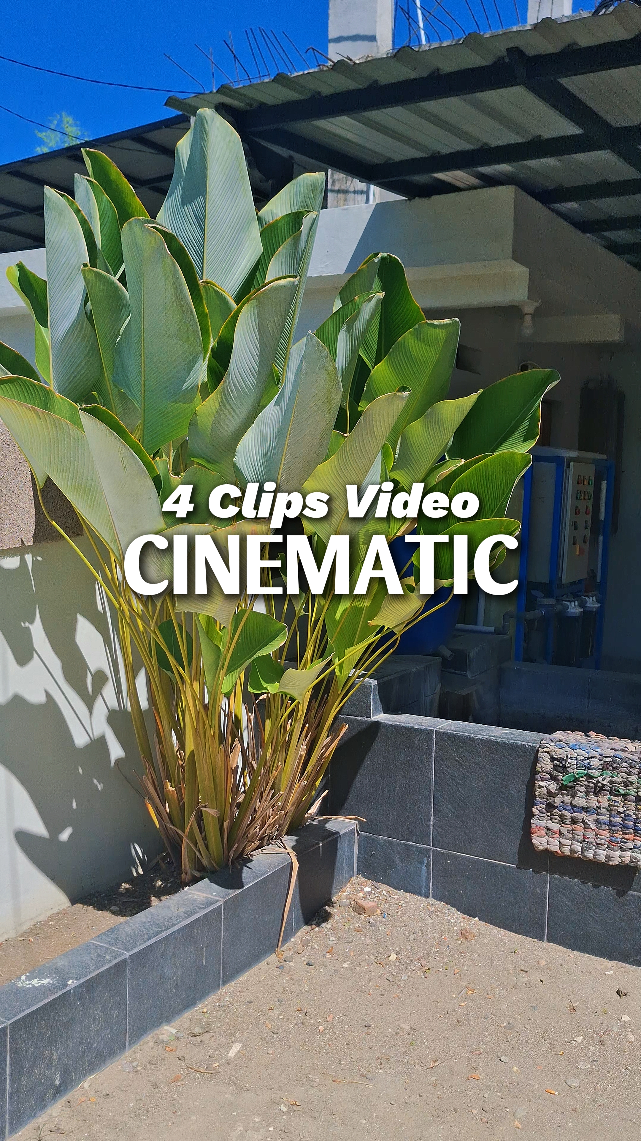 4 Clips Vidéo