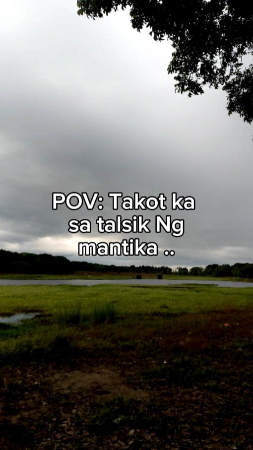 Ponto de vista