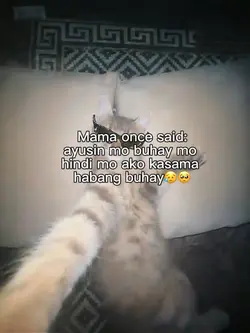 Mama once said:
ayus