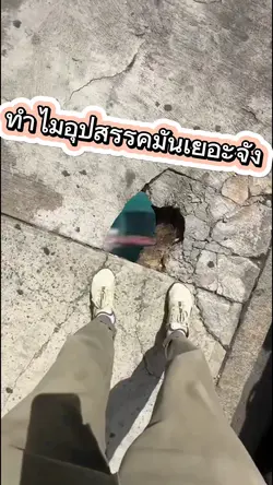 เรามีคำถามมากกว่าหาคำตอบ