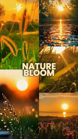 Nature bloom