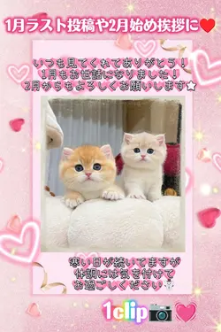 2月もよろしく/フォロワー様へのご挨拶