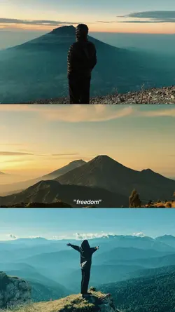 freedom