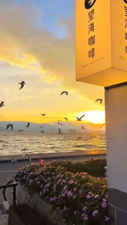 adoração 