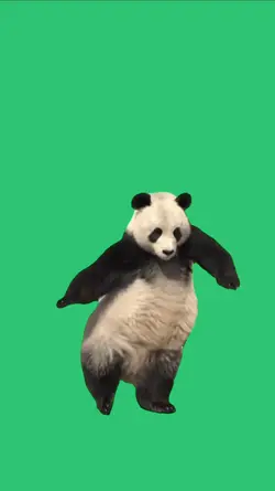 PANDA BAILANDO