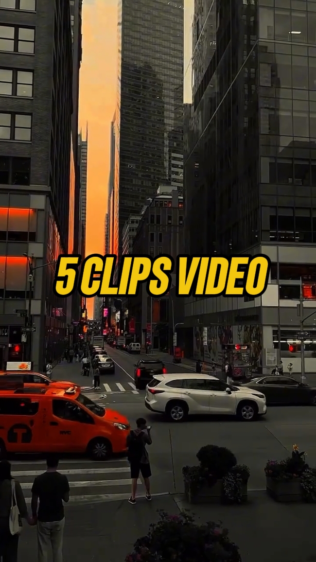 5 CLIPS DE VIDEO 
