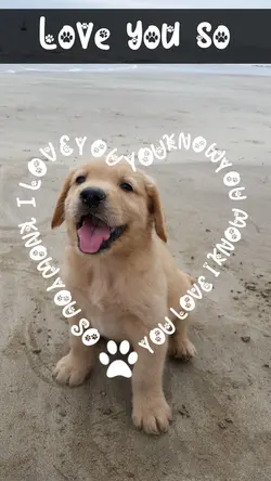 Love you so