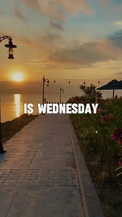 Todays Wednesday God