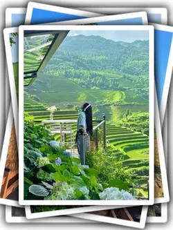 8Pic Aesthetic Frame