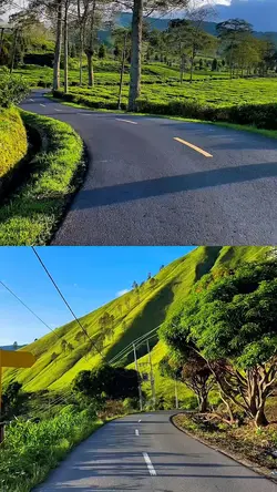 2 video 1 kolase