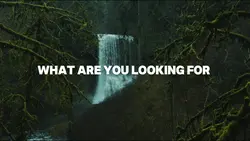 Looking for 11 klip