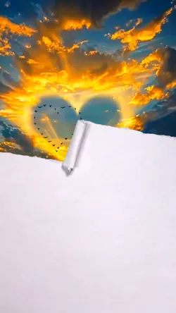 Tearing paper transi