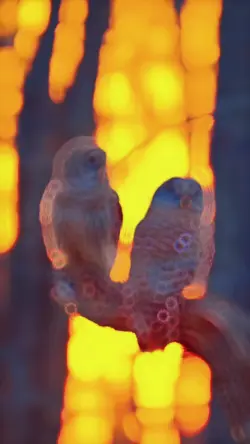 New Slow Motion