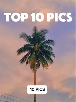 Top 10 pics