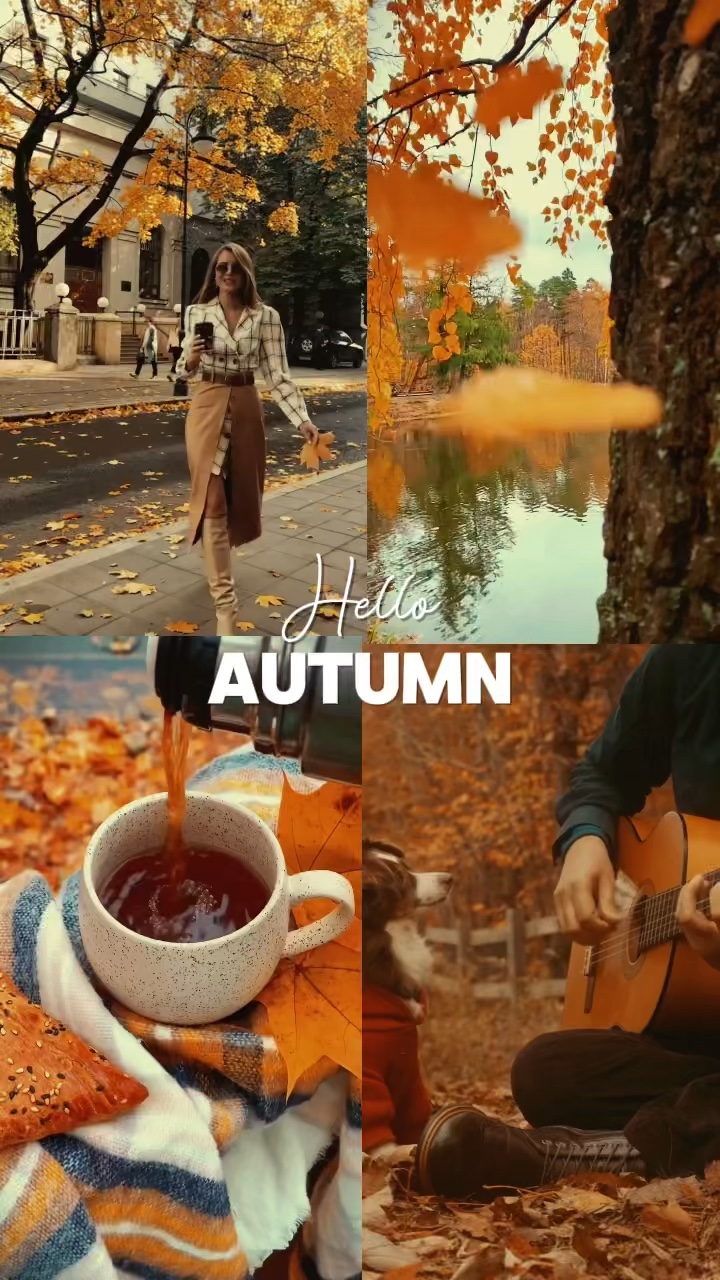 Hallo Herbst 