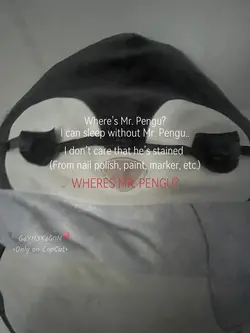 Where’s Mr. Pengu?