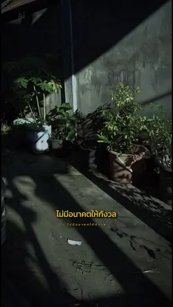 ไม่ต้องกังวลอนาคต