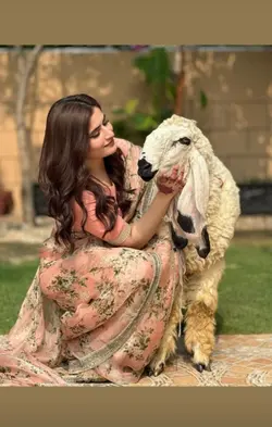 Bkra Eid Mubarak 