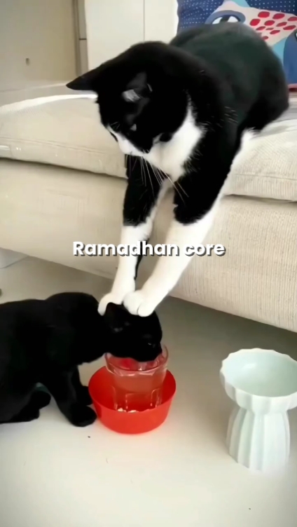 inti ramadhan