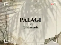 PALAGI TYPOGRAPHY 
