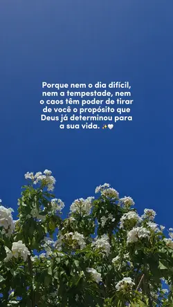 Propósito de vida