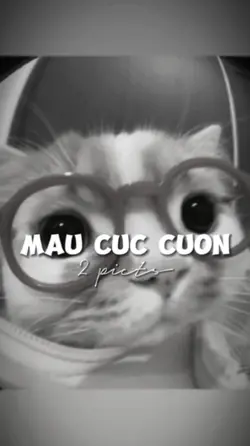MẪU CUỐN NHẸ NHÀNG 