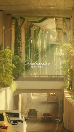 Wednesday MiniVlog
