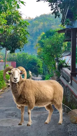 funny happy birthday