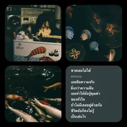 ขาดเธอไม่ได้