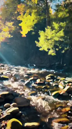 Slowmotion video 🌊✨