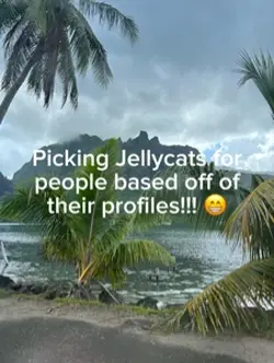 Jellycats!!!😝😗💛