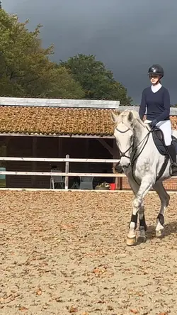 Carida 🐻‍❄️❤️