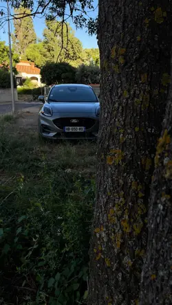 Ford Puma ST Line 