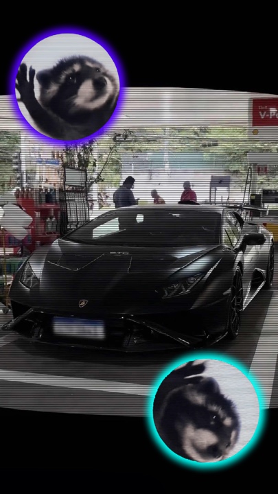 🦝 Car Trend 