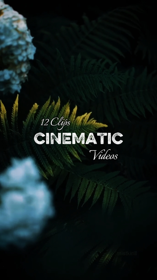 12 Clips Aesthetic 