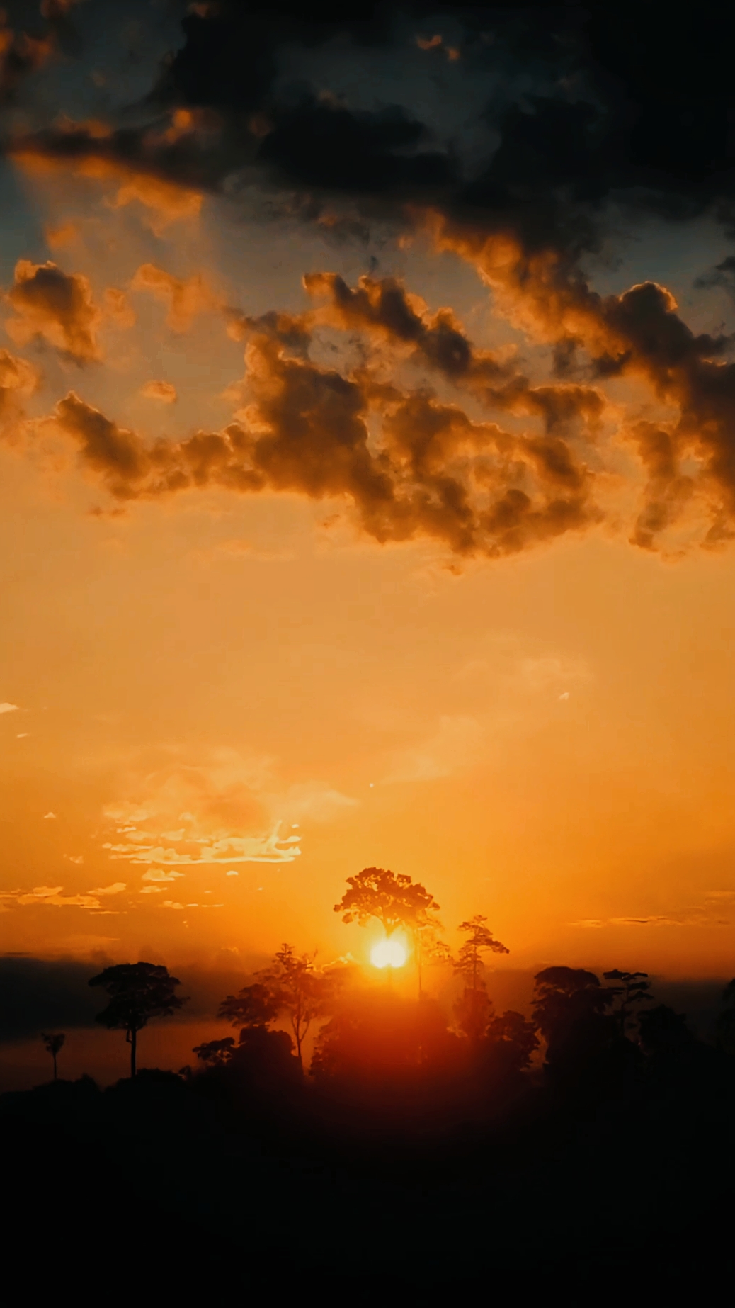 Cinematic 