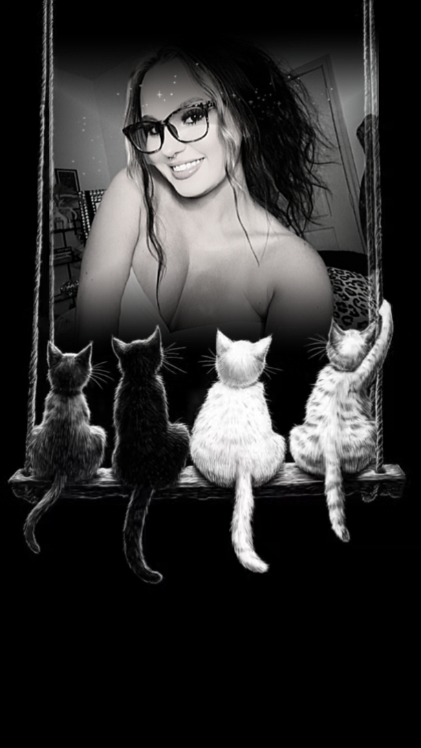 Gatos balançando 