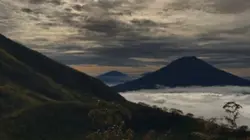 Video aestectic