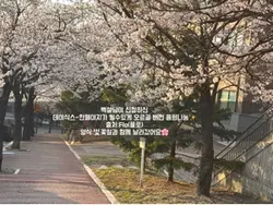 데이식스 한페이지 음워나눔🎧🌸💕